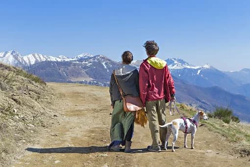 LOS ANIMALES SON SERES VIVOS DOTADOS DE SENSIBILIDAD